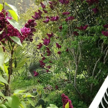 Fanny Guest house 2*